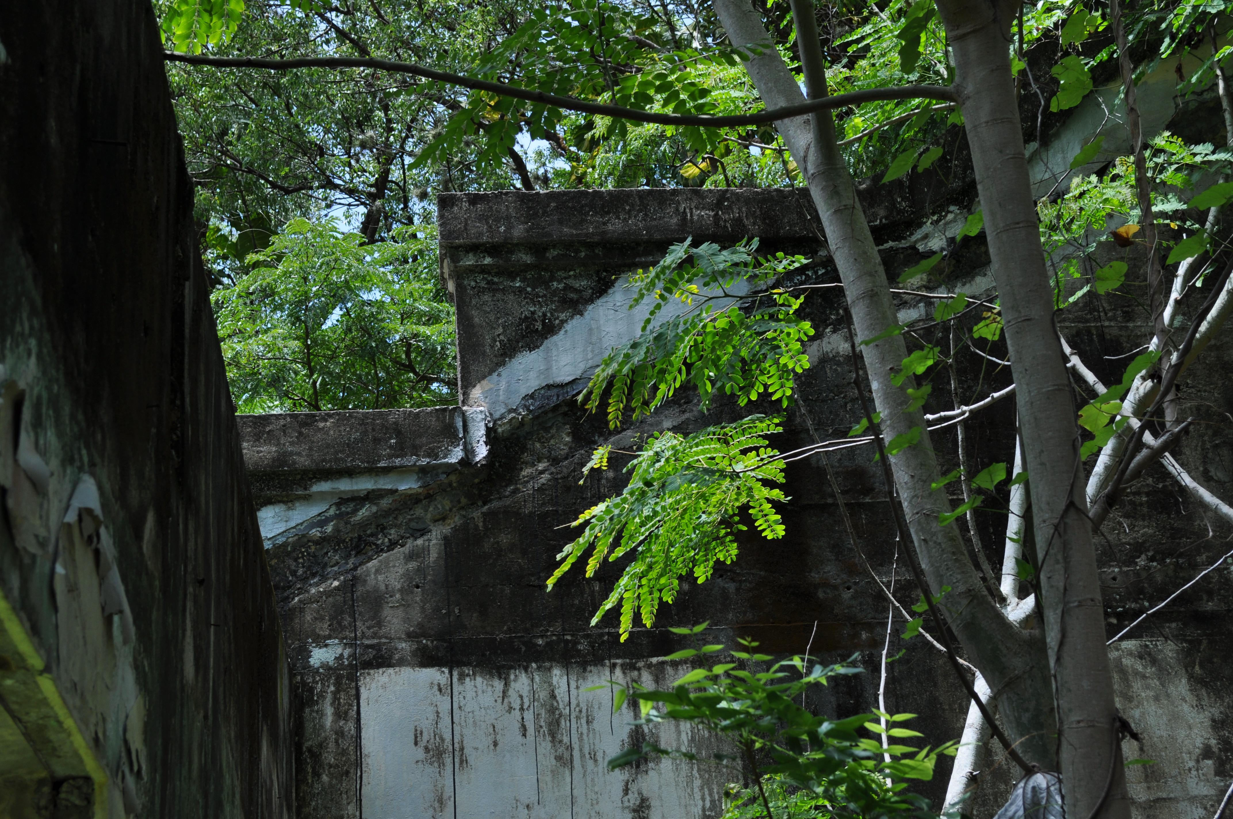 Antigua Lechería y Residencia de la Facultad de la Universidad de Puerto Rico - San Juan (Río Piedras) - 2014 00018